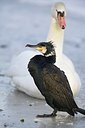 BUITEN BEELD Foto: 157243