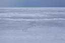 BUITEN BEELD Foto: 157258