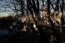 BUITEN BEELD Foto: 157353