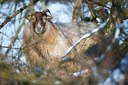 BUITEN BEELD Foto: 157357