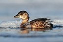 BUITEN BEELD Foto: 157398