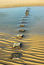 BUITEN BEELD Foto: 157399