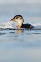 BUITEN BEELD Foto: 157400