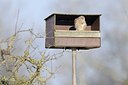 BUITEN BEELD Foto: 157413