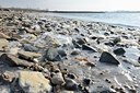BUITEN BEELD Foto: 157435