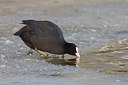BUITEN BEELD Foto: 157446