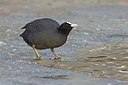 BUITEN BEELD Foto: 157447