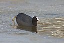 BUITEN BEELD Foto: 157448
