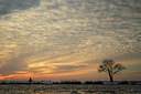 BUITEN BEELD Foto: 157612