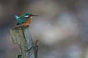 BUITEN BEELD Foto: 157637