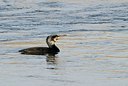 BUITEN BEELD Foto: 157665