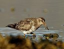 BUITEN BEELD Foto: 157670