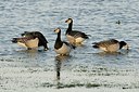 BUITEN BEELD Foto: 157689