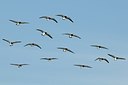 BUITEN BEELD Foto: 157693