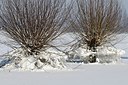 BUITEN BEELD Foto: 157708