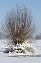 BUITEN BEELD Foto: 157710