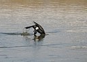 BUITEN BEELD Foto: 157740
