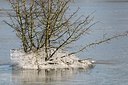 BUITEN BEELD Foto: 157742