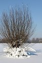 BUITEN BEELD Foto: 157749