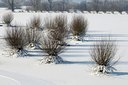 BUITEN BEELD Foto: 157751