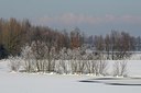 BUITEN BEELD Foto: 157752