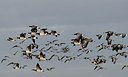 BUITEN BEELD Foto: 157755