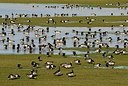 BUITEN BEELD Foto: 157757