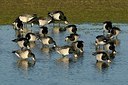 BUITEN BEELD Foto: 157763