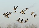 BUITEN BEELD Foto: 157766