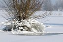 BUITEN BEELD Foto: 157788
