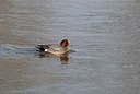 BUITEN BEELD Foto: 157797