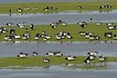 BUITEN BEELD Foto: 157801
