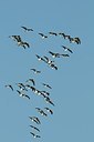 BUITEN BEELD Foto: 157817