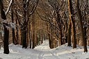BUITEN BEELD Foto: 157851