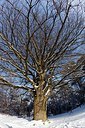 BUITEN BEELD Foto: 157856