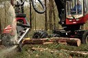 BUITEN BEELD Foto: 157869