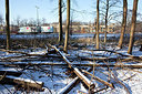 BUITEN BEELD Foto: 157870