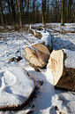 BUITEN BEELD Foto: 157871