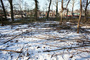 BUITEN BEELD Foto: 157872