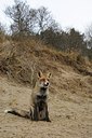 BUITEN BEELD Foto: 157898