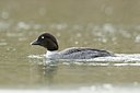 BUITEN BEELD Foto: 157946
