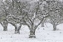 BUITEN BEELD Foto: 158035
