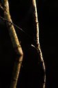 BUITEN BEELD Foto: 158074