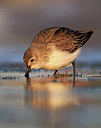 BUITEN BEELD Foto: 158191
