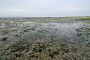 BUITEN BEELD Foto: 158227