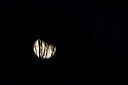 BUITEN BEELD Foto: 158275