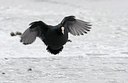 BUITEN BEELD Foto: 158392