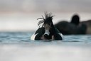 BUITEN BEELD Foto: 158397