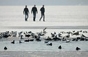 BUITEN BEELD Foto: 158409