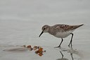 BUITEN BEELD Foto: 158436